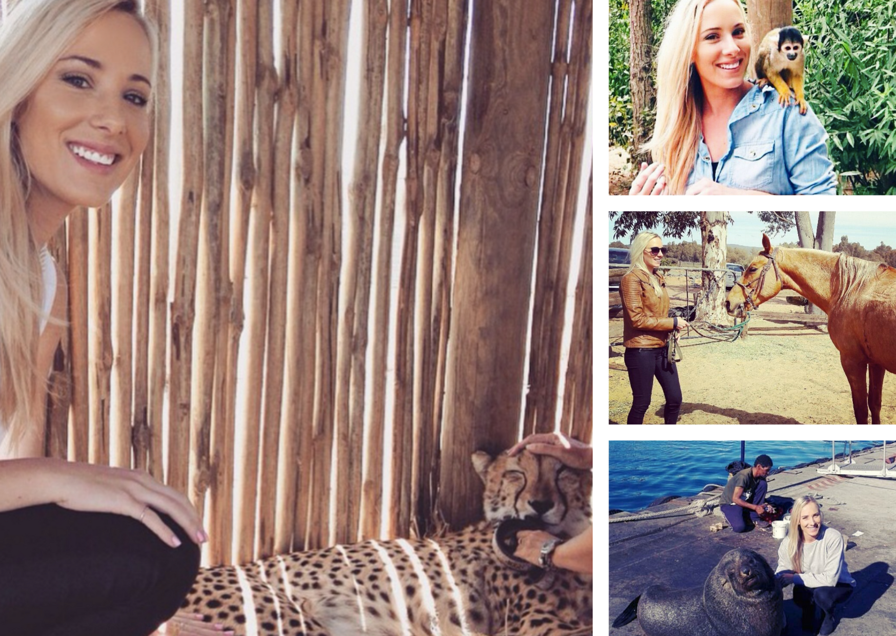 Introducing Bianca Roos, Senior Consultant, Sales, South Africa
