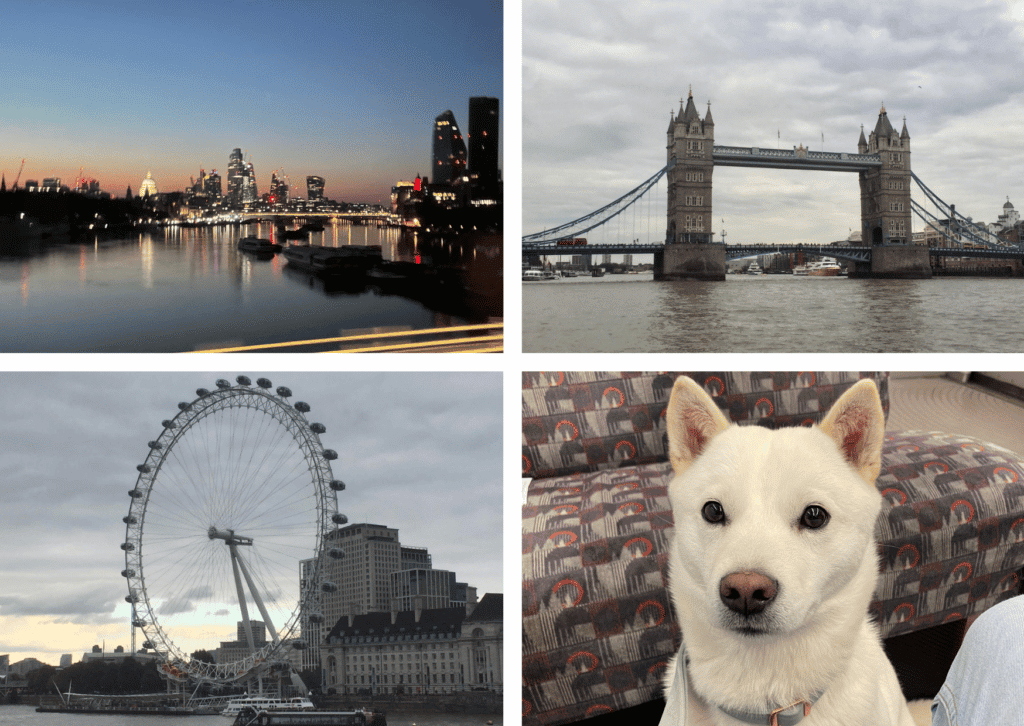Introducing Caolan Cassidy, Associate Consultant, London